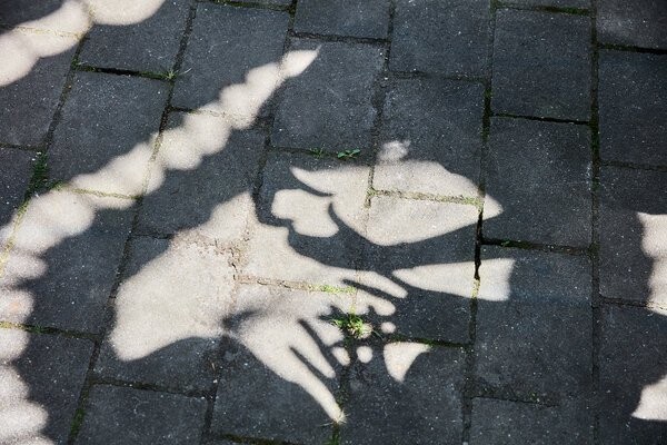 Kjk Detail 10 Foto Gerrit Cramer